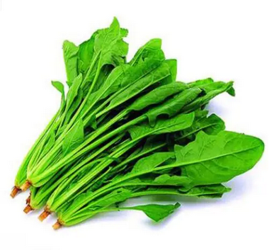 菠菜