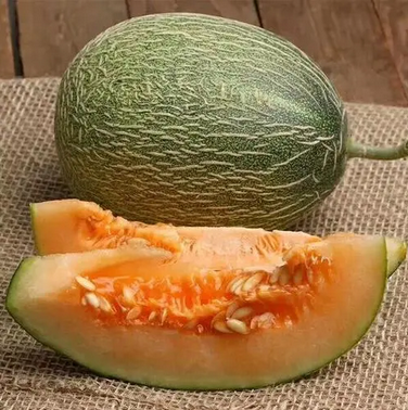 小(xiǎo)蜜哈密瓜